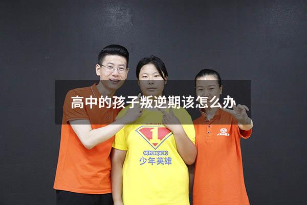 高中的孩子叛逆期该怎么办