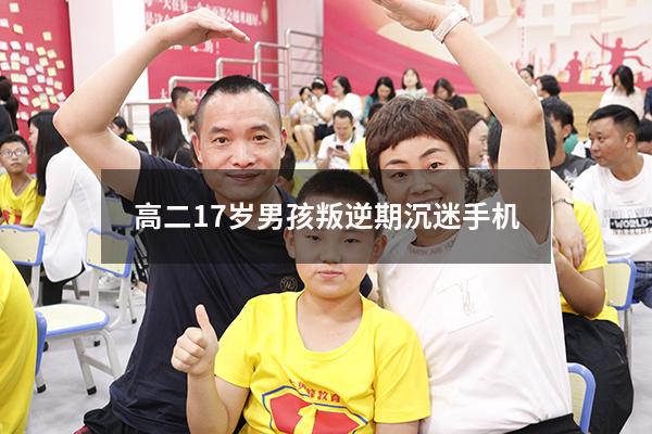 高二17岁男孩叛逆期沉迷手机