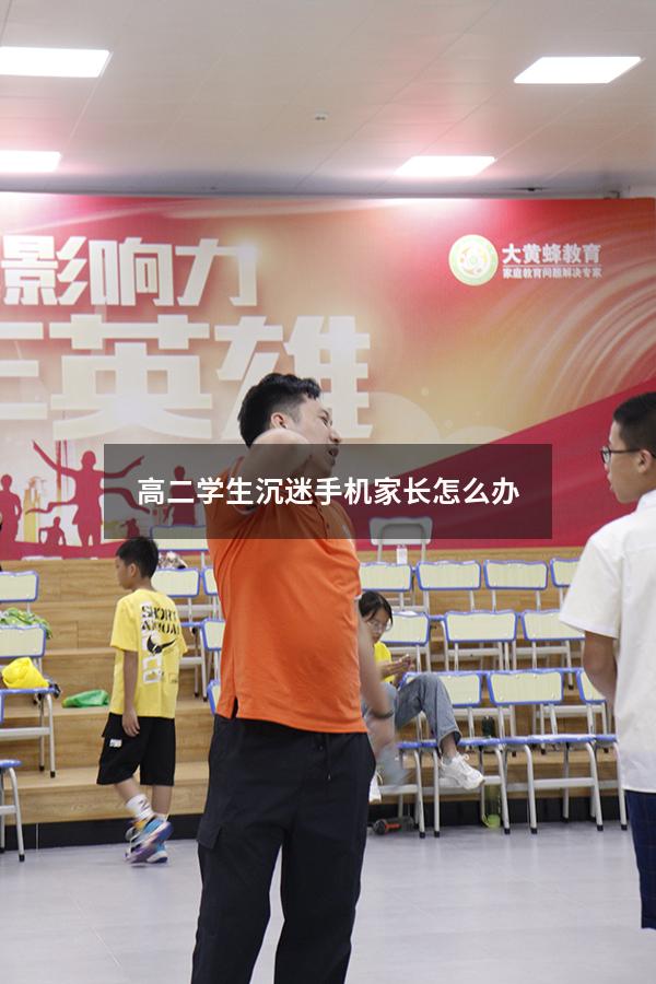 高二学生沉迷手机家长怎么办