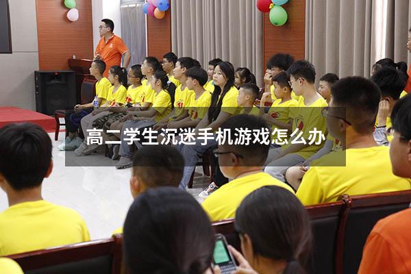 高二学生沉迷手机游戏怎么办