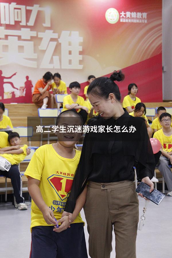 高二学生沉迷游戏家长怎么办