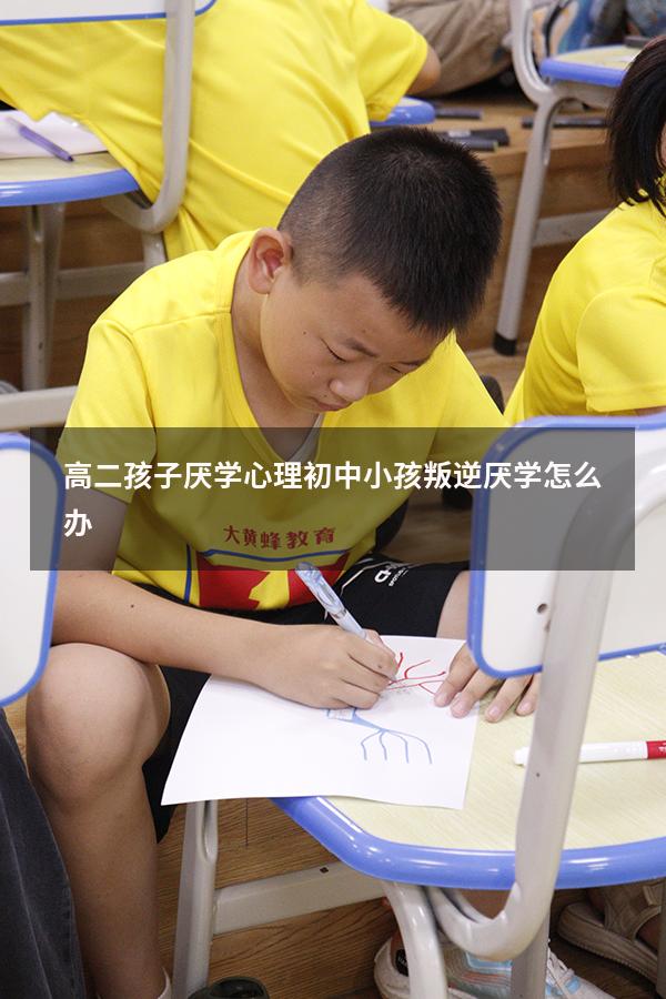 高二孩子厌学心理（初中小孩叛逆厌学怎么办）