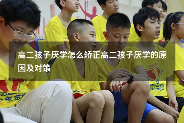 高二孩子厌学怎么矫正（高二孩子厌学的原因及对策）