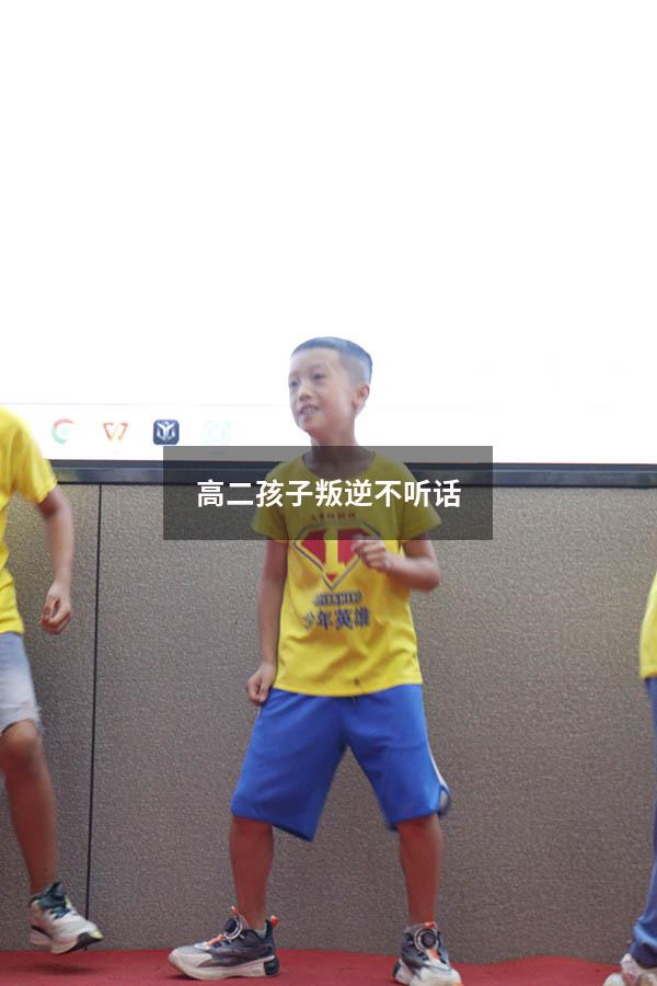 高二孩子叛逆不听话