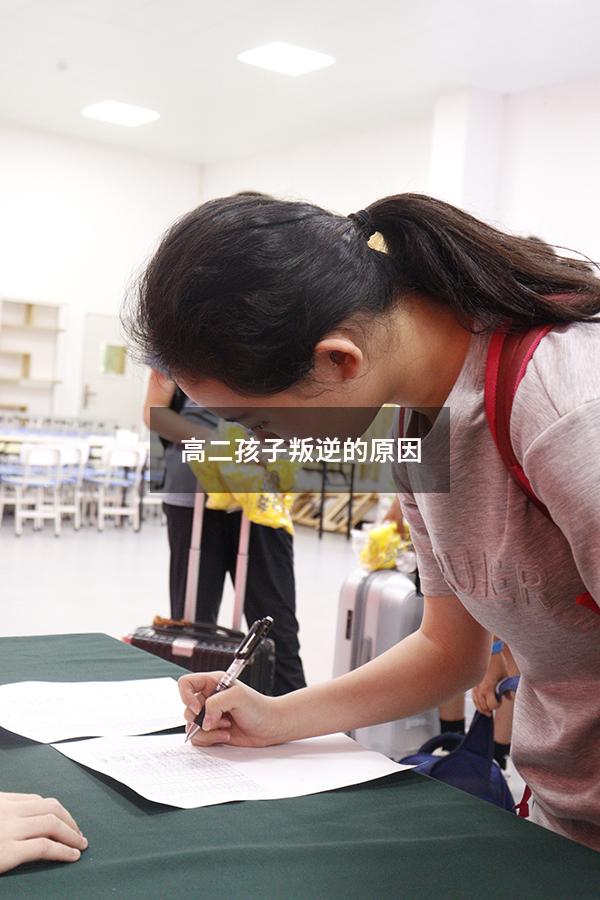 高二孩子叛逆的原因
