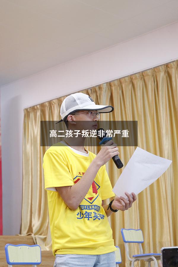 高二孩子叛逆非常严重
