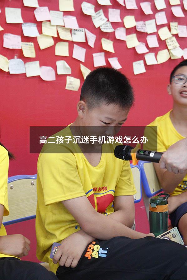 高二孩子沉迷手机游戏怎么办