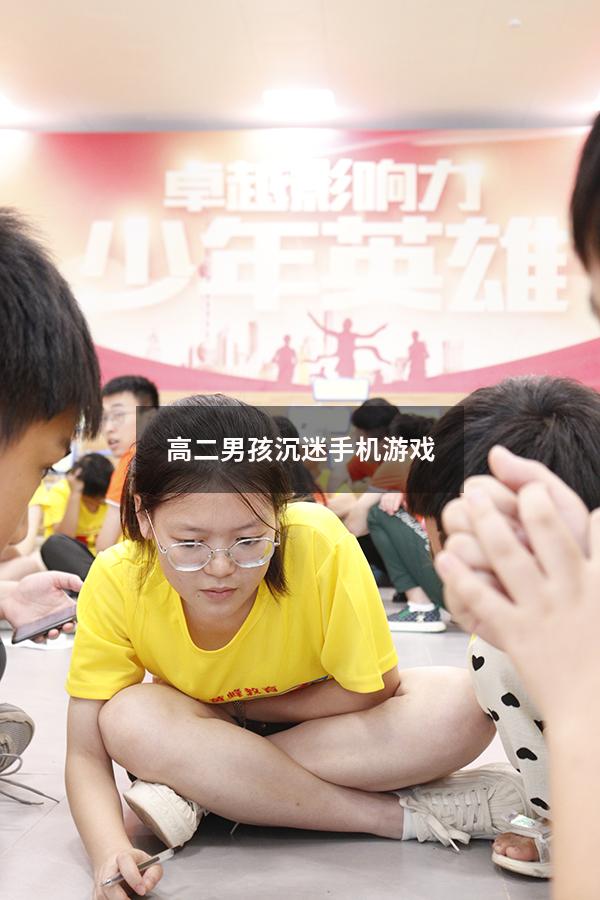 高二男孩沉迷手机游戏