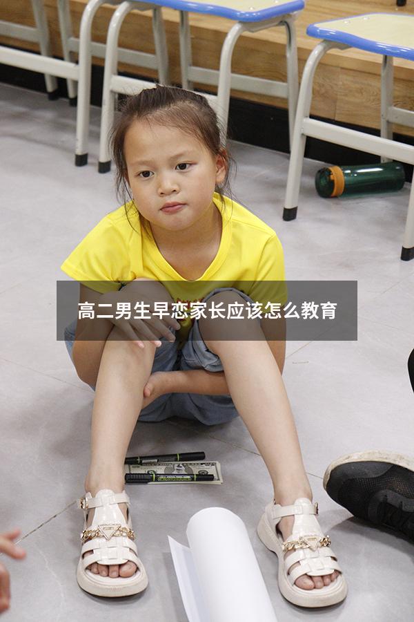 高二男生早恋家长应该怎么教育