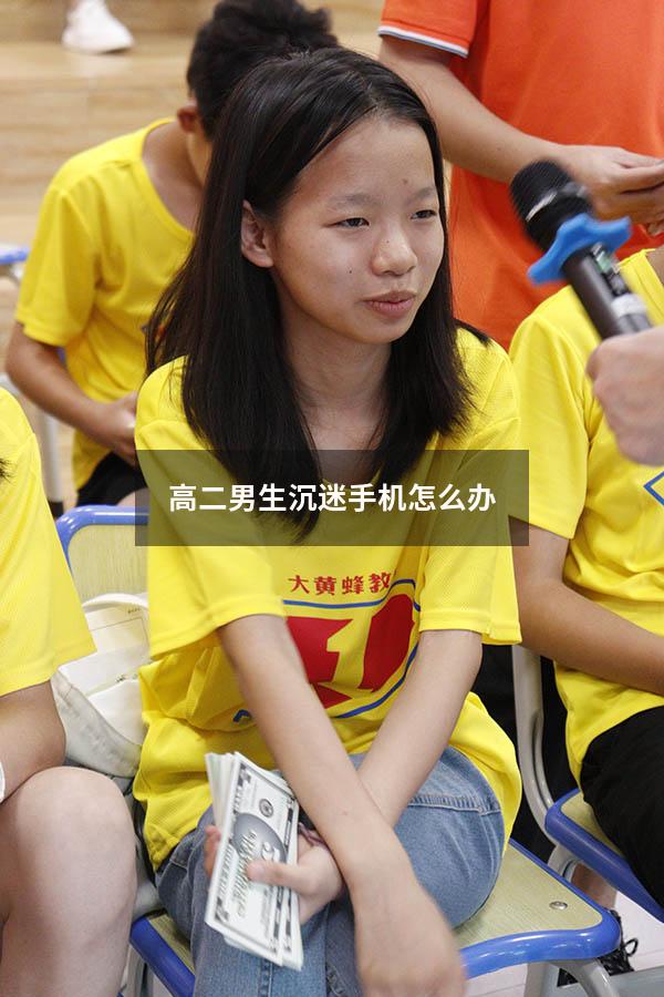 高二男生沉迷手机怎么办