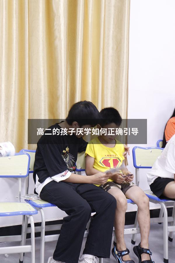 高二的孩子厌学如何正确引导