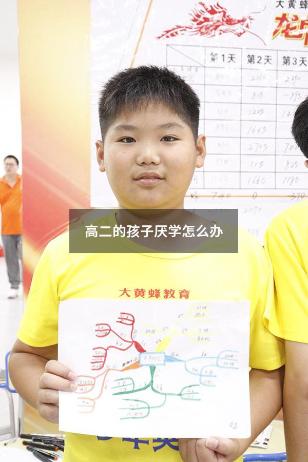 高二的孩子厌学怎么办