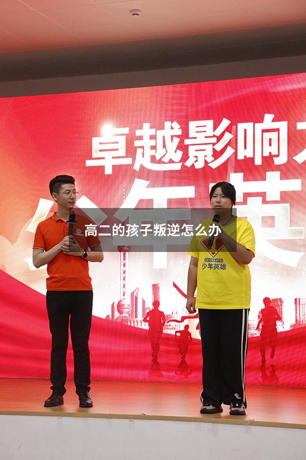 高二的孩子叛逆怎么办