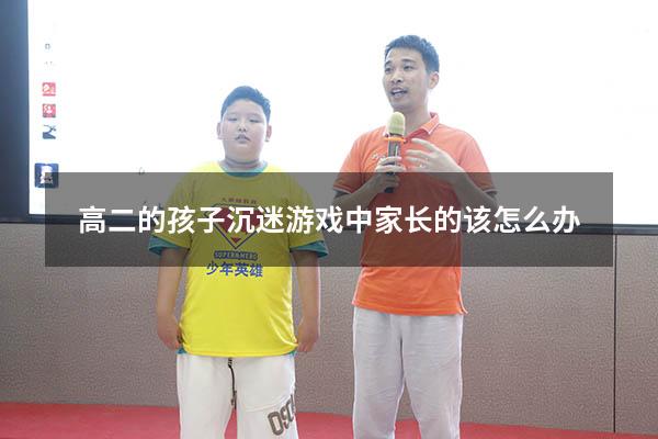 高二的孩子沉迷游戏中家长的该怎么办