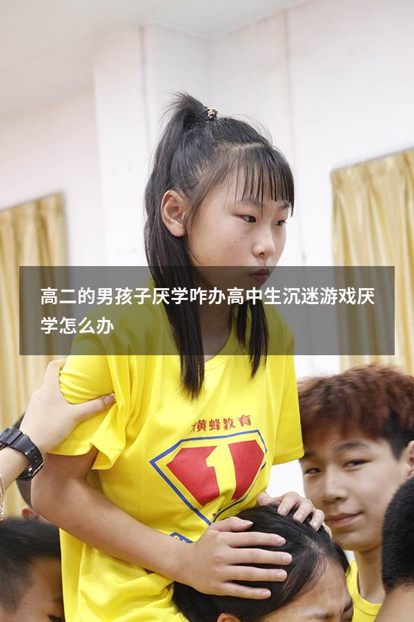 高二的男孩子厌学咋办（高中生沉迷游戏厌学怎么办）