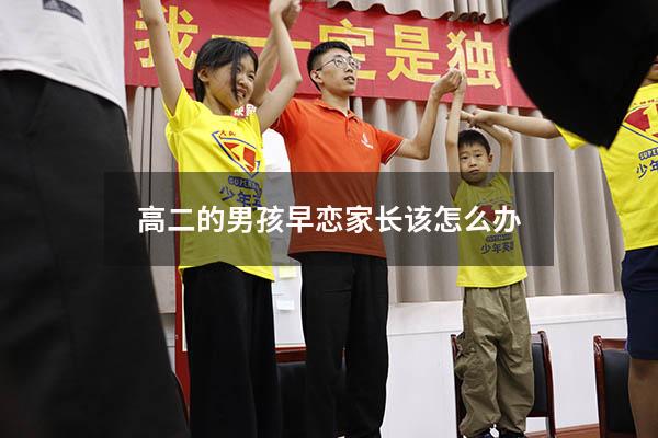 高二的男孩早恋家长该怎么办