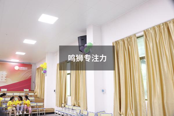 鸣狮专注力