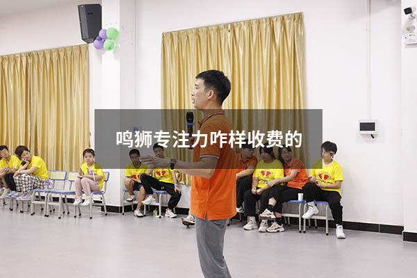 鸣狮专注力咋样收费的