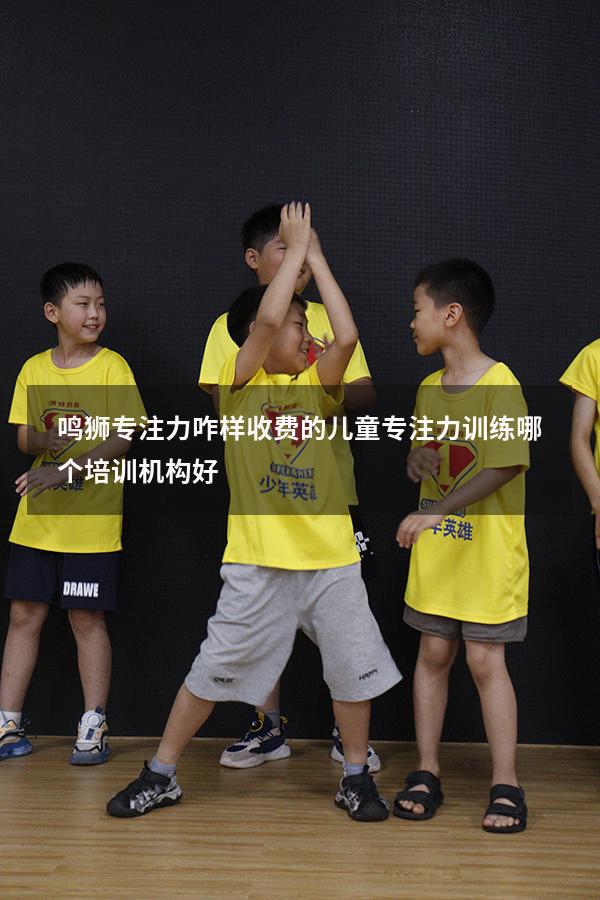 鸣狮专注力咋样收费的（儿童专注力训练哪个培训机构好）