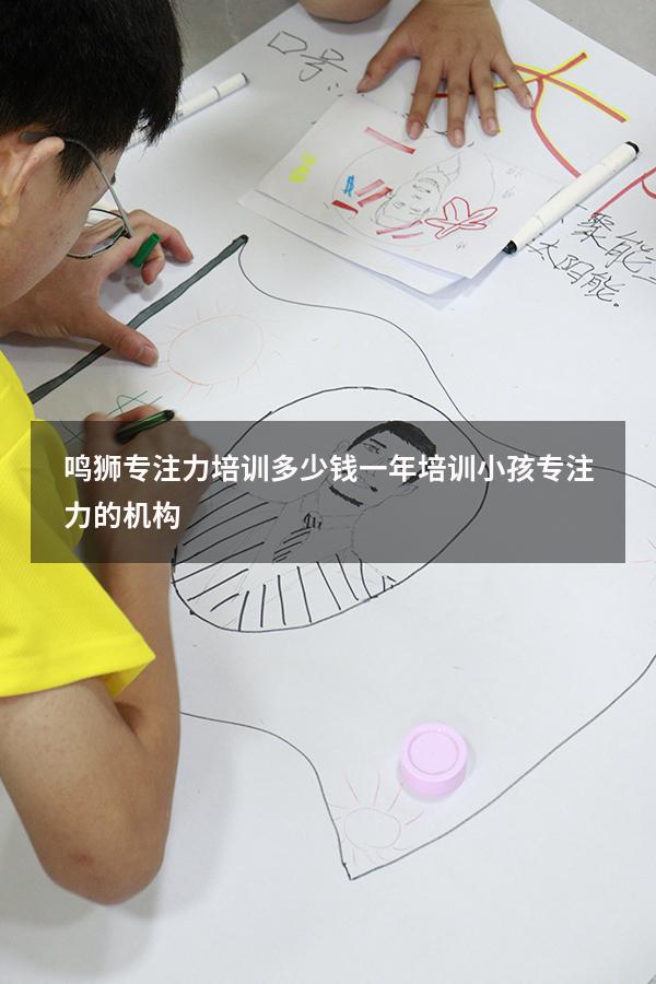 鸣狮专注力培训多少钱一年（培训小孩专注力的机构）