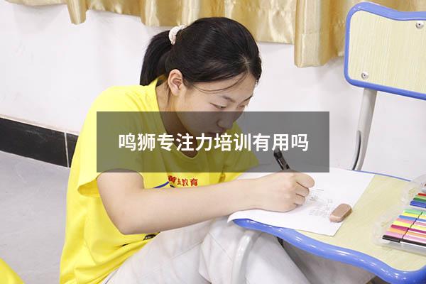 鸣狮专注力培训有用吗