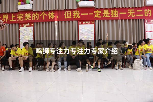鸣狮专注力（专注力专家介绍）