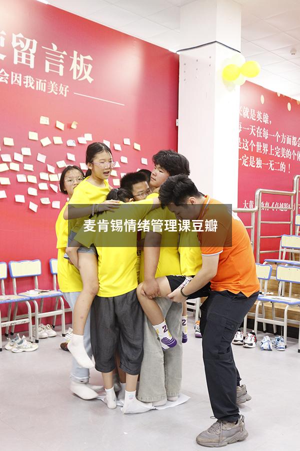 麦肯锡情绪管理课豆瓣