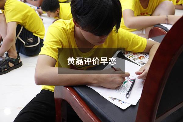 黄磊评价早恋